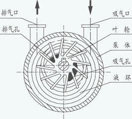 水环式真空泵